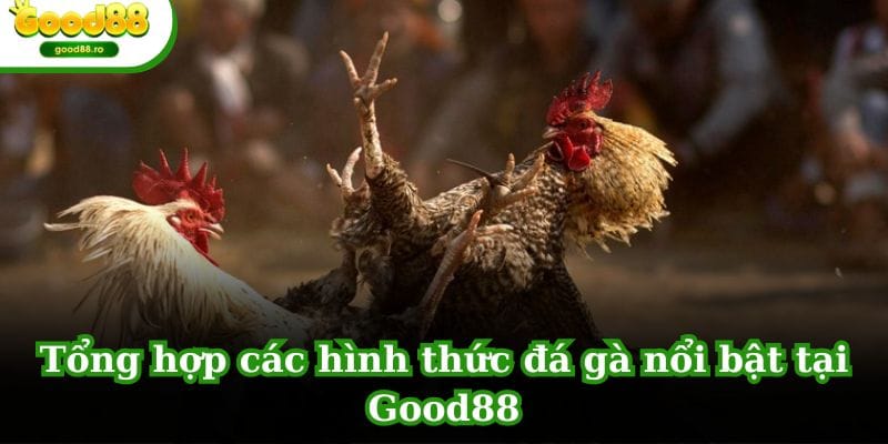 Tổng hợp các hình thức đá gà nổi bật tại GOOD88