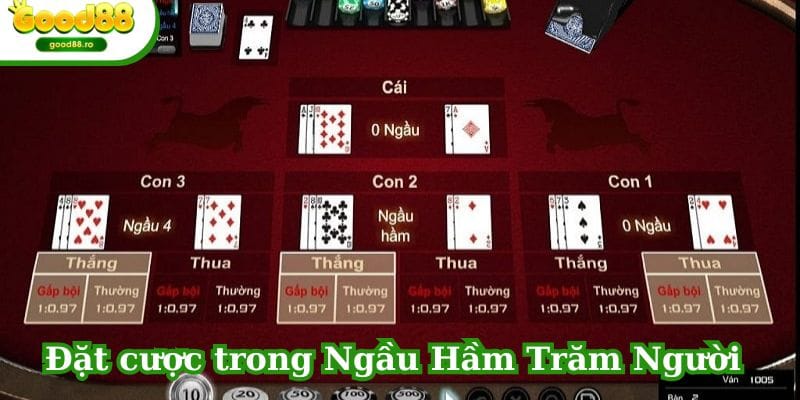 Cách đặt cược chi tiết trong game Ngầu hầm trăm người